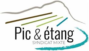 Logo 12